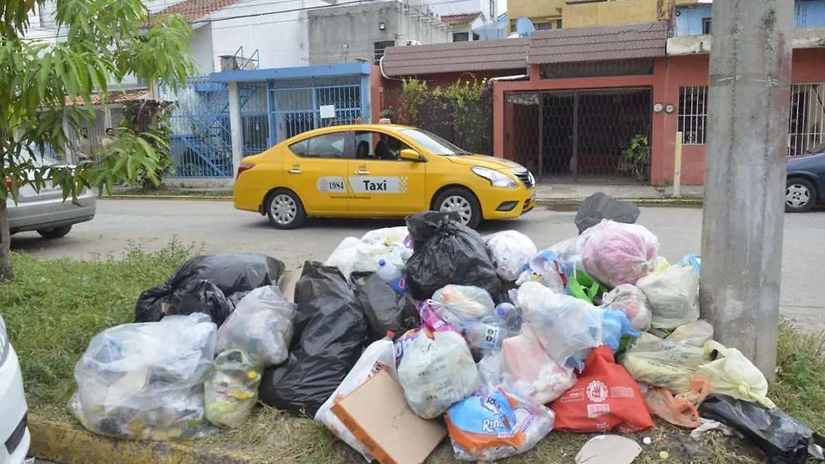 Basura5 copia