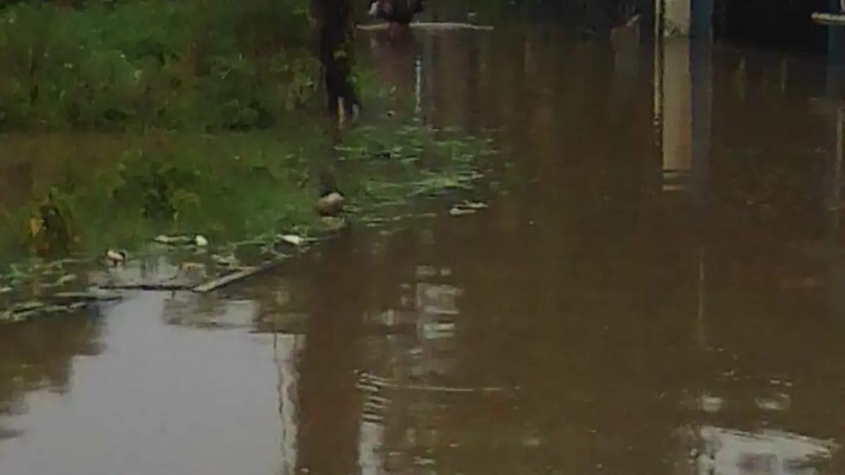 30e2c617-f9d8-4eef-ad21-cd3c3a1bd1b4