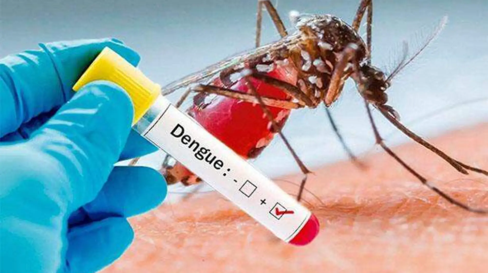 dengue