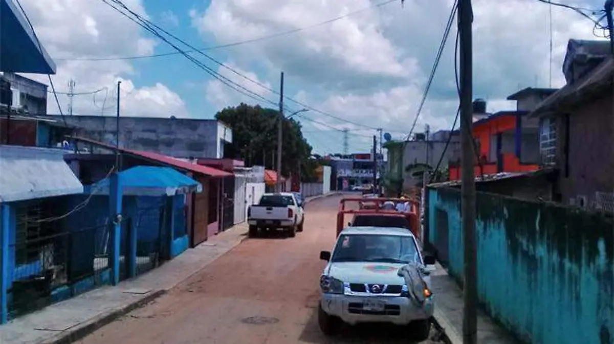 abejas1