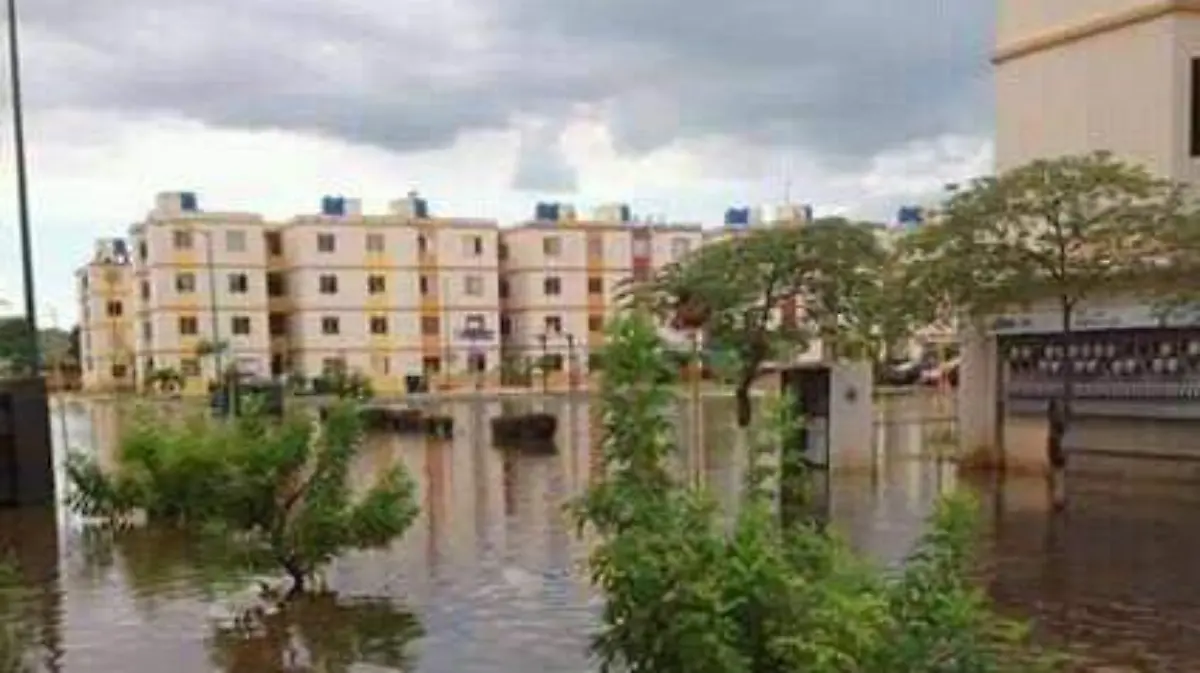 vicentenario