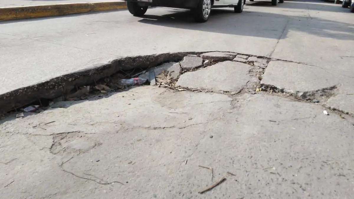 bache