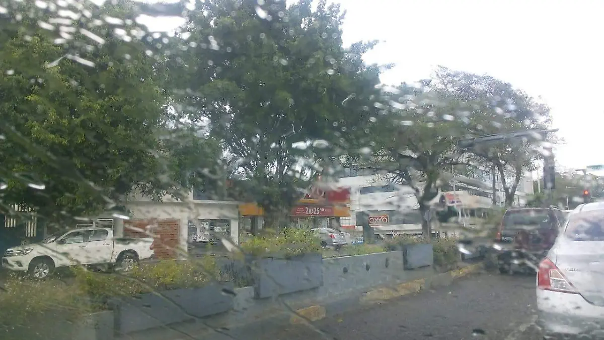 51d9546b-84ef-4053-8631-86894ead147f