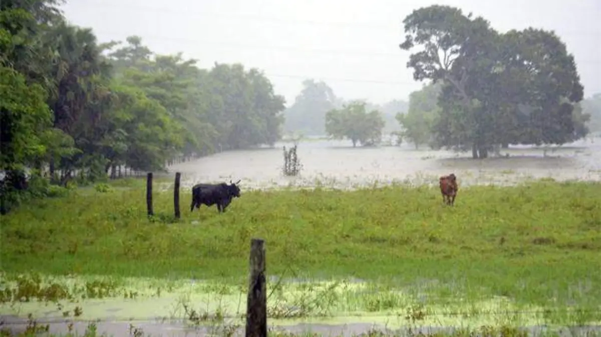 lluvias