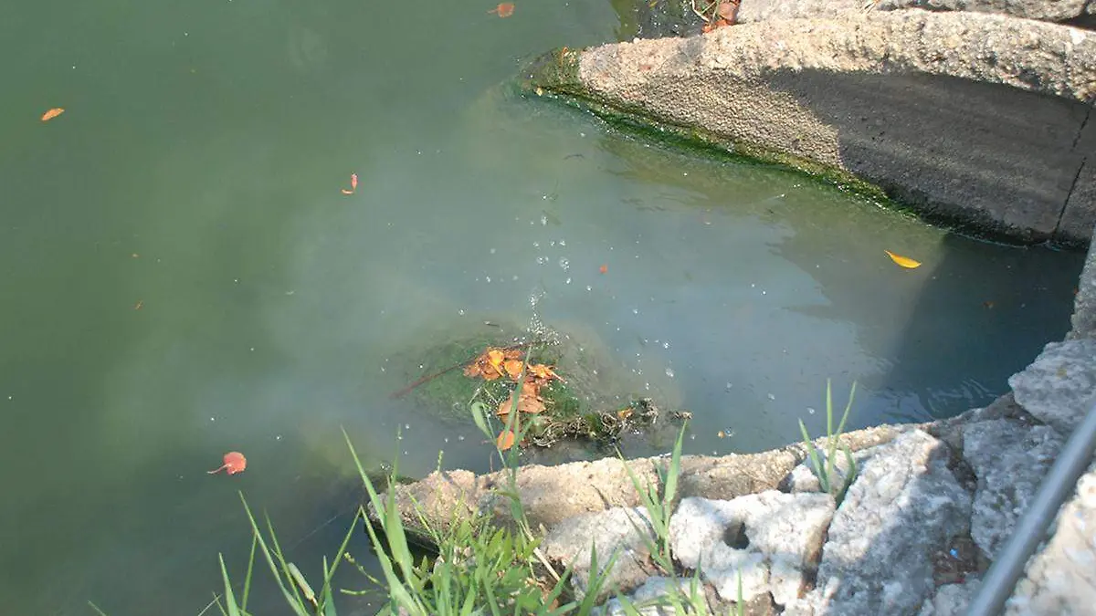 Laguna-Ilusiones-Contamiación