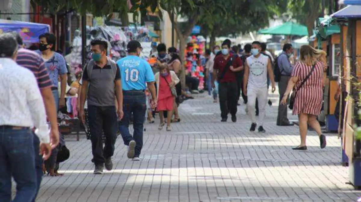 Movilidad5 copia