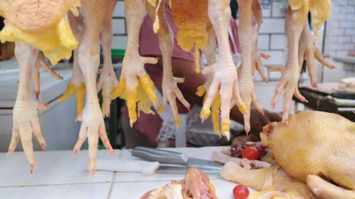 Aves_Mercado Pino Suárez