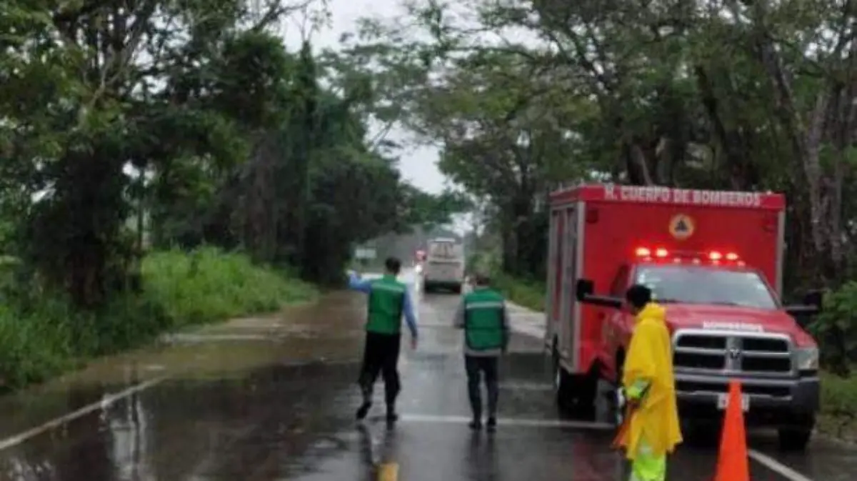 FotoJet - 2023-02-05T103748.609