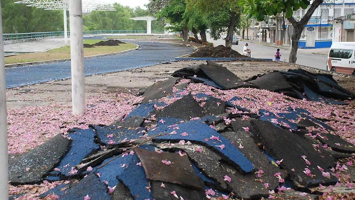 Parque-Lineal-Desmantelamiento copia