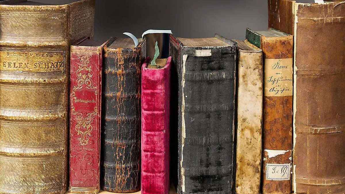 Tabasqueños-Libros