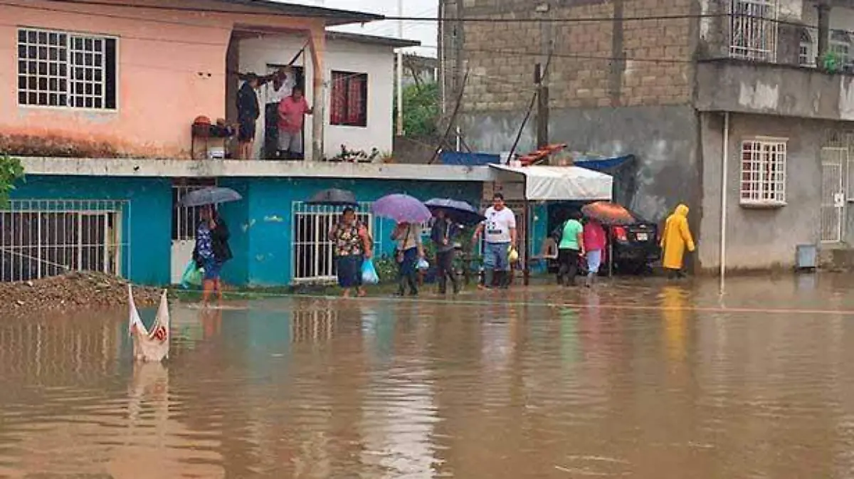 loccolonias