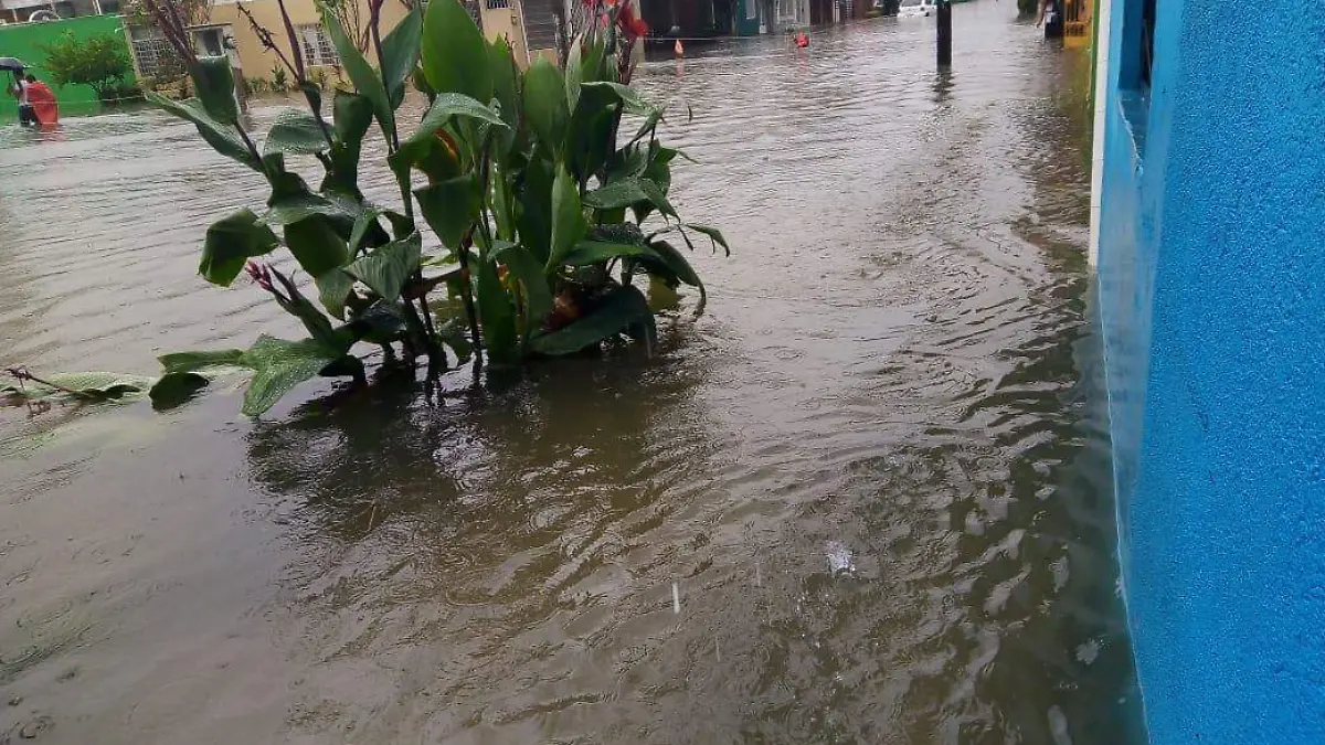 01cb0ecc-fde0-48ee-af2f-a290c8fbbd9d