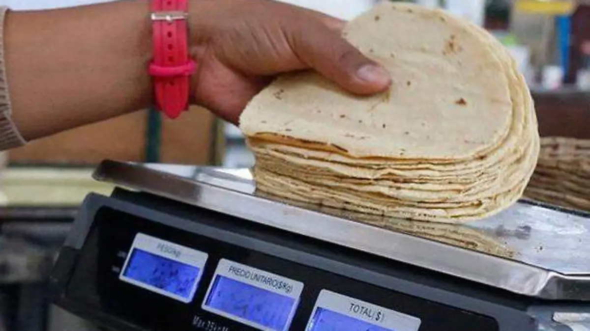 tortilla