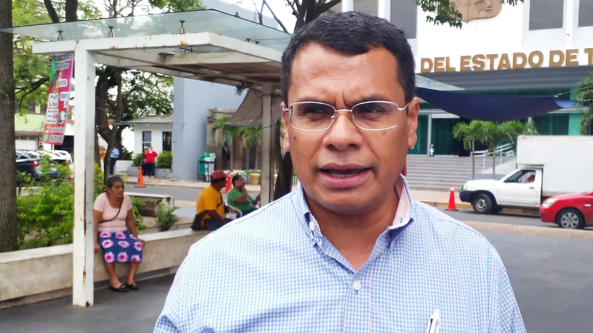 Diputada Jesús Selván