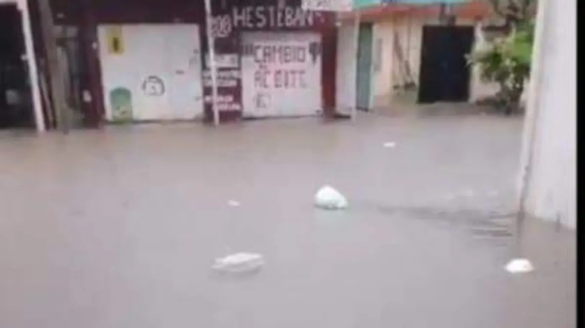 728a5131-32dc-4895-b784-901f1ad28d81