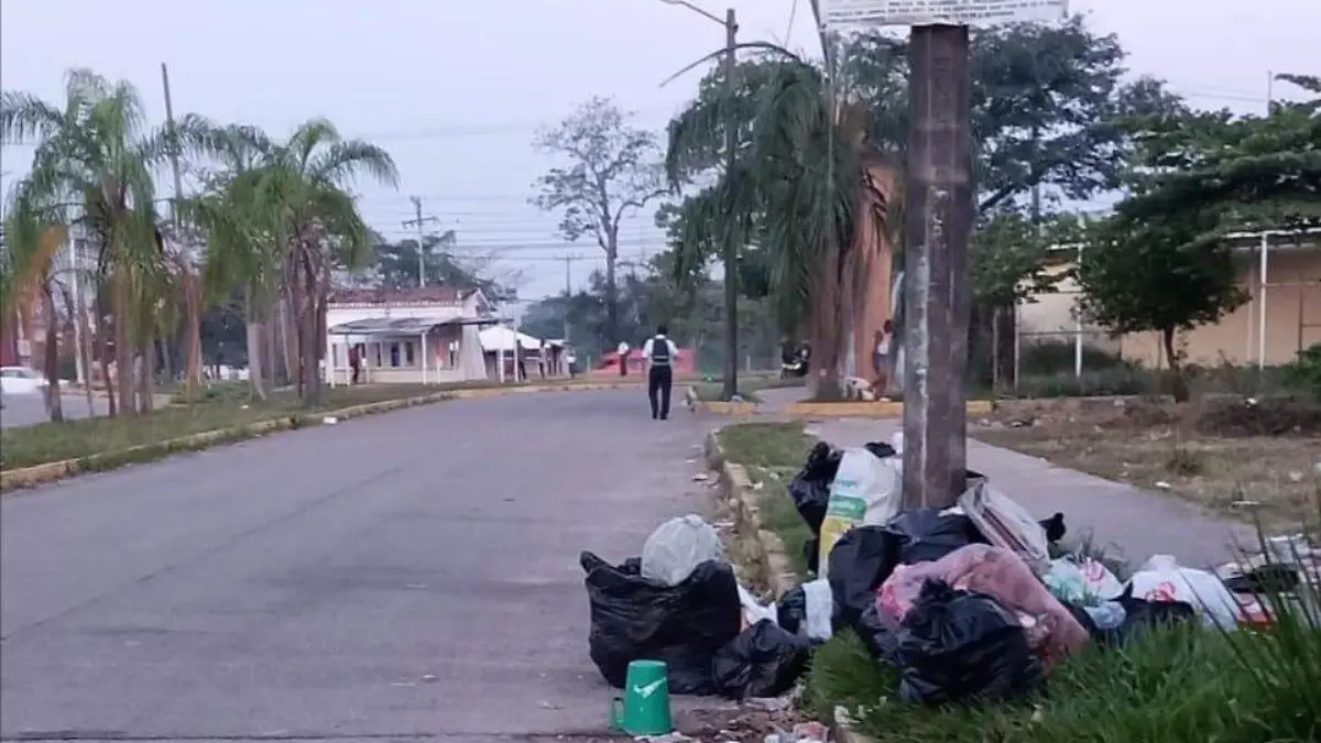 basura2