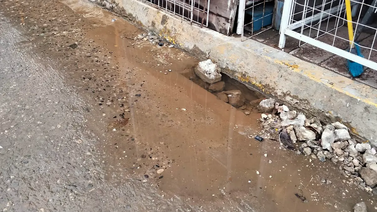 Proyecto nuevo