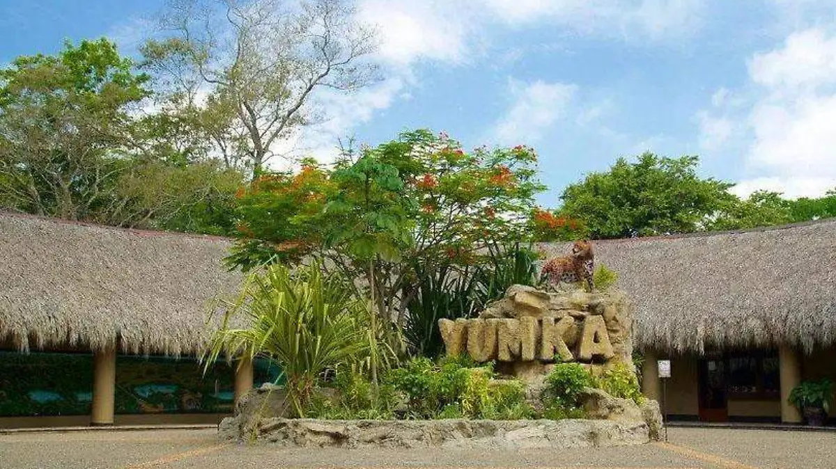 yumka