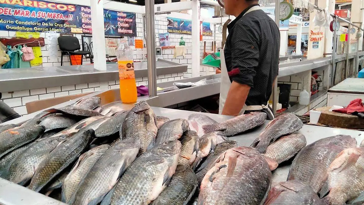 Pescado copia