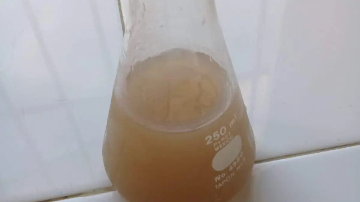 73436253-3928-4e42-9aa6-1e0f6d673303