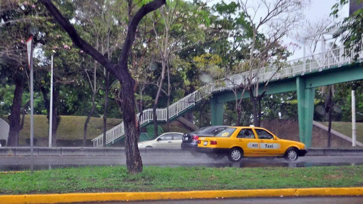 Sin título-1