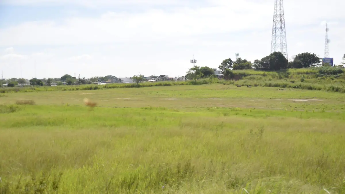 NO AUTORISAN PUESTOS DE PETARDOS-JCH78