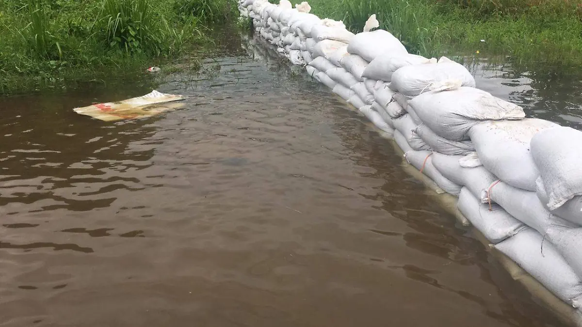 e5b98c33-4046-45c6-9188-d7fc8d094b16