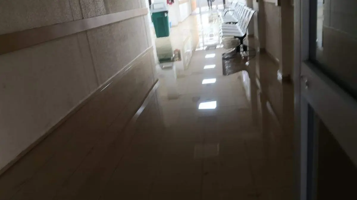 81f25dac-78a8-43c0-9977-436ab2682cda