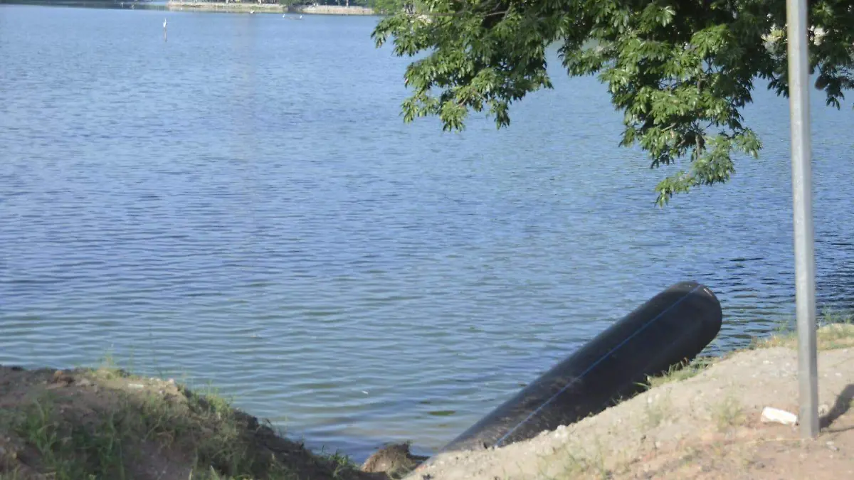 0ead7768-0dfe-43e6-b6c9-a46c369c998e