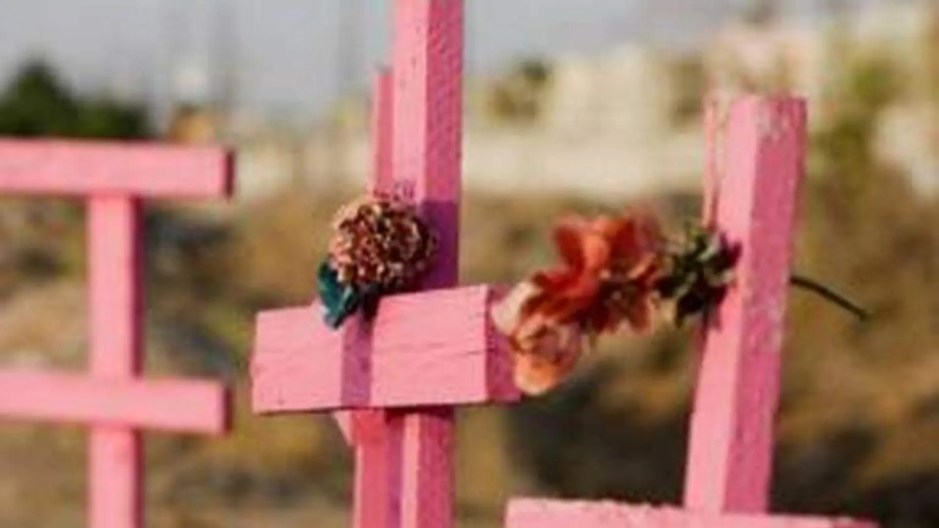 150831185436_mexico_feminicidios_cruces_rosa_afp_624