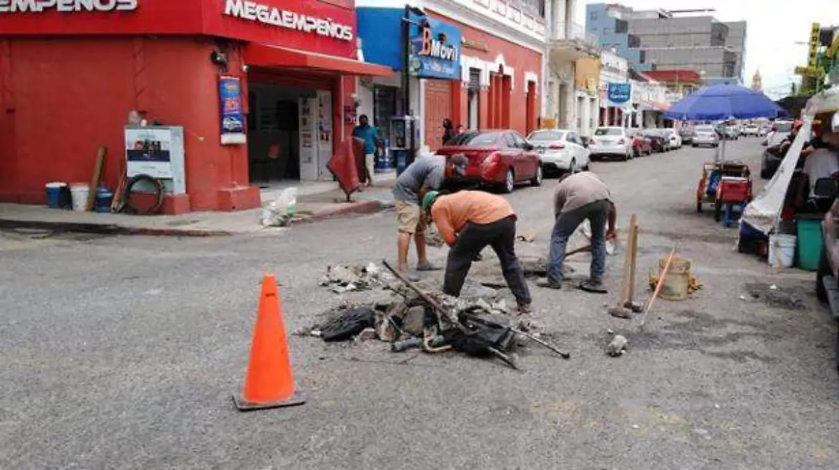 Bache2 copia