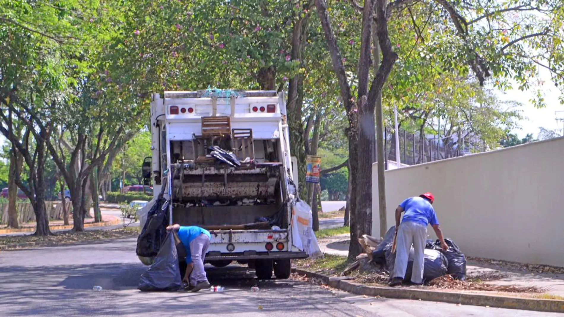 basura