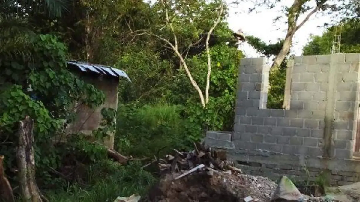 Vivienda3 copia