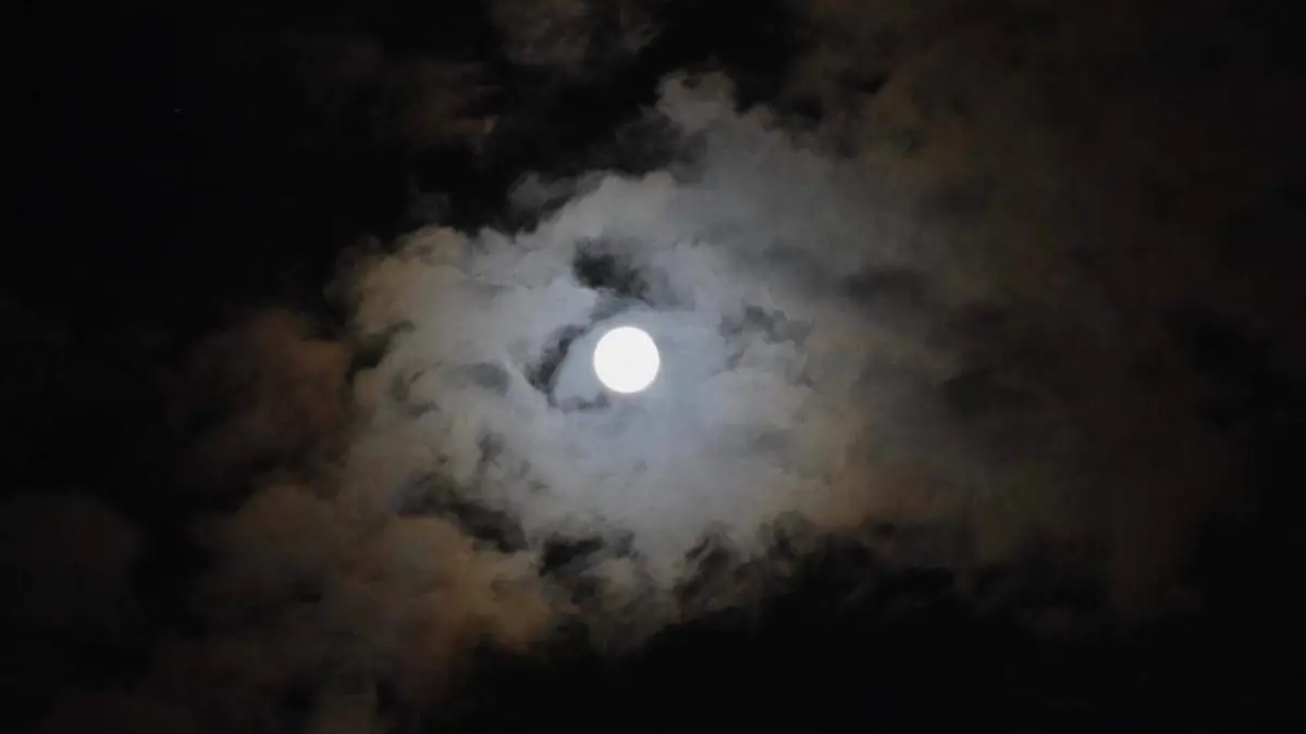 6a0c1ff7-a2a0-4883-87f6-ec78b3597f19