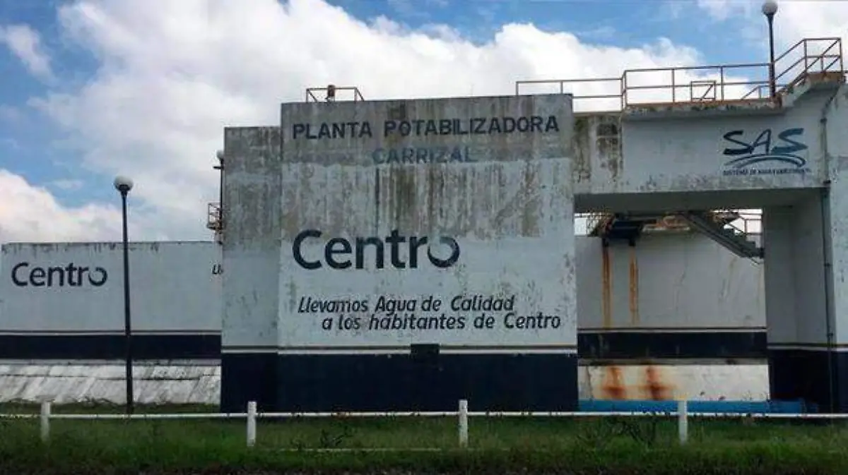 planta-Carrizal