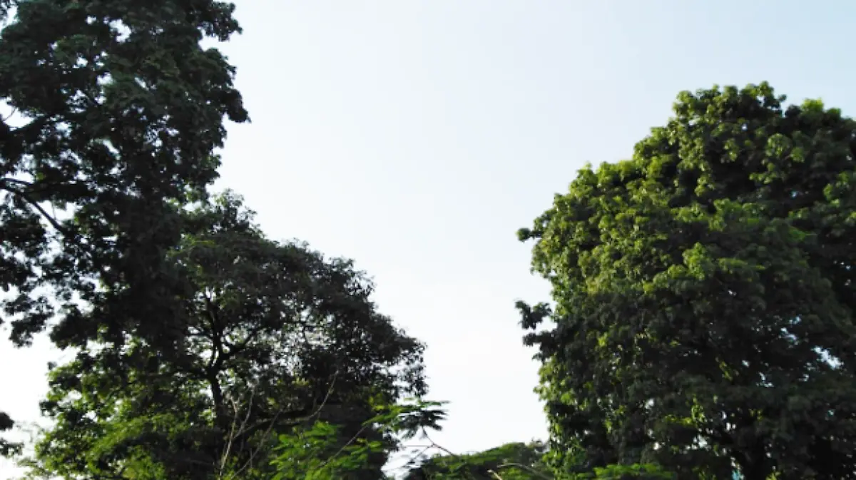 clima Villahermosa