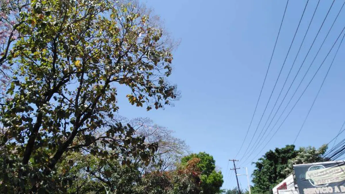 CALOR-JCH (1)