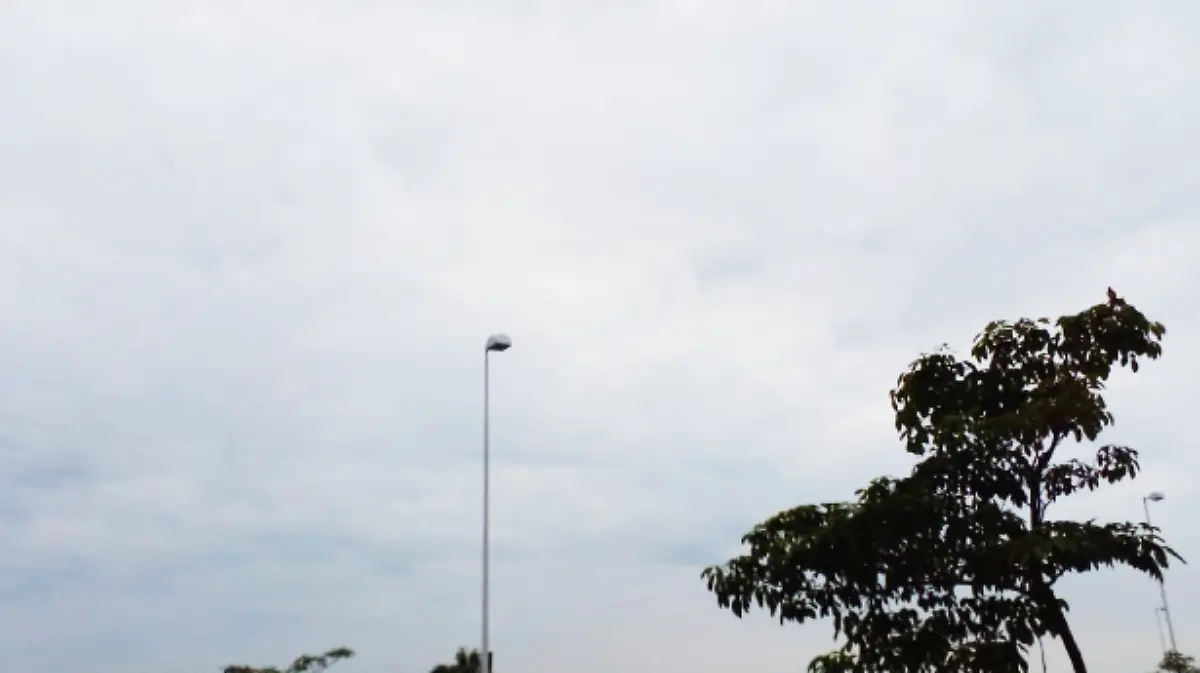 Nuevo proyecto (2)