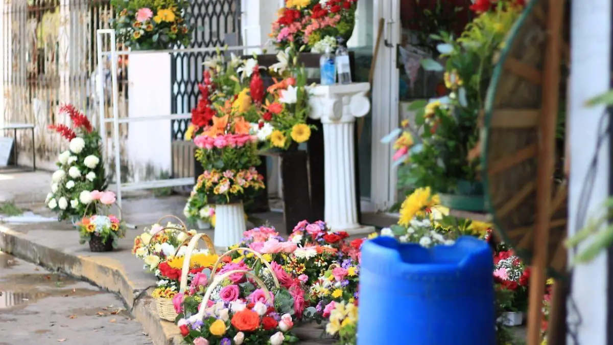 flores