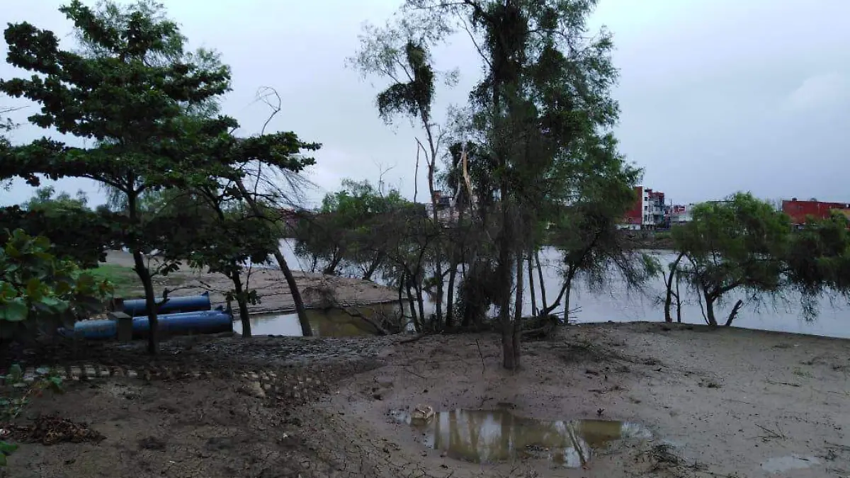 Image 2021-03-21 at 11.58.51 AM (1)