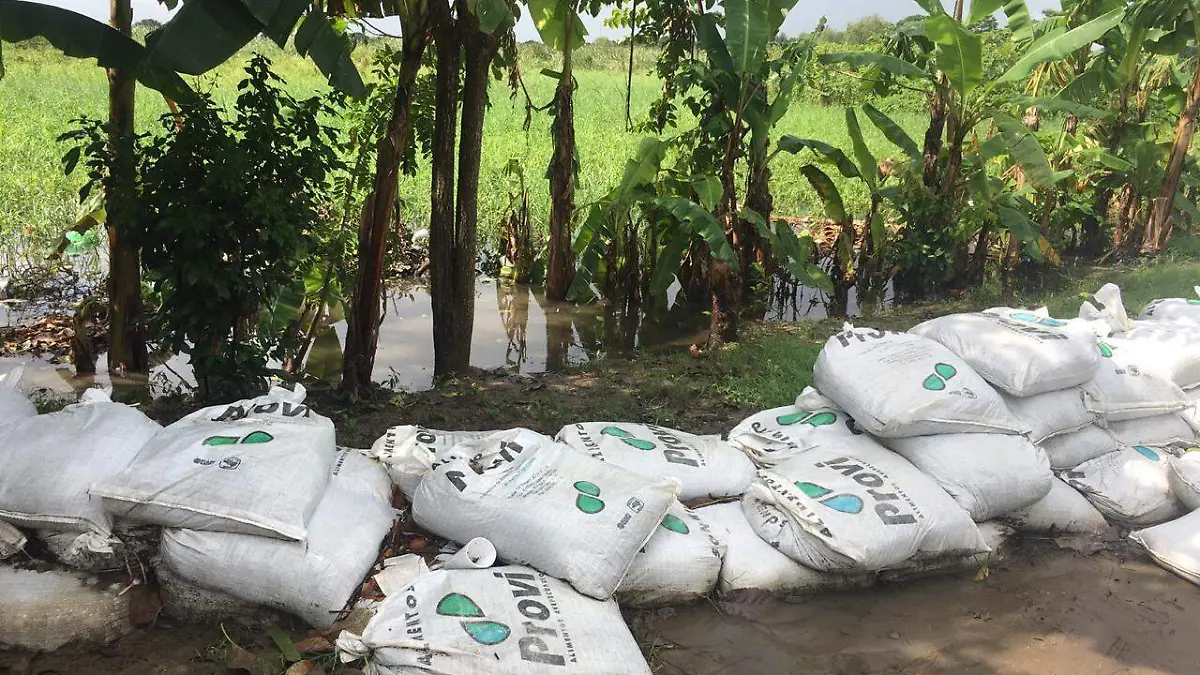 7a70e982-cb78-41f8-92c5-70833581ee85