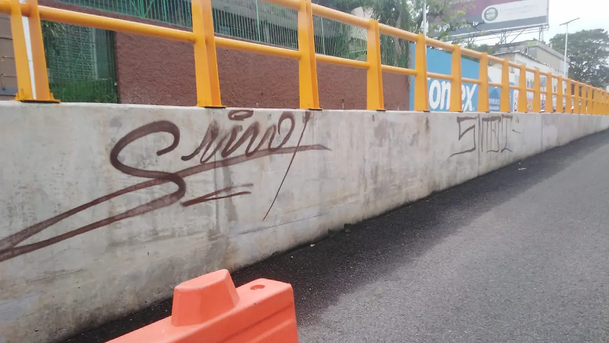 Pintas en el Distribuidor Universidad