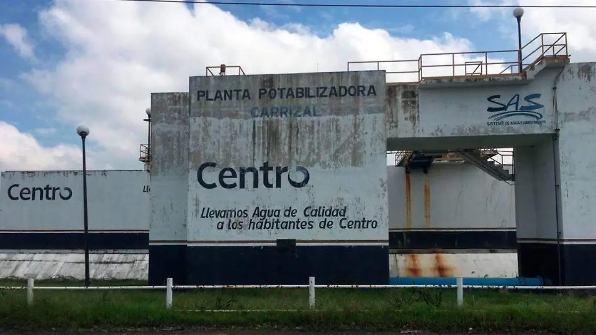 planta