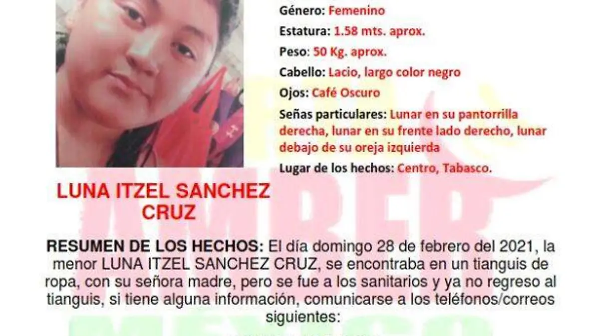alerta2