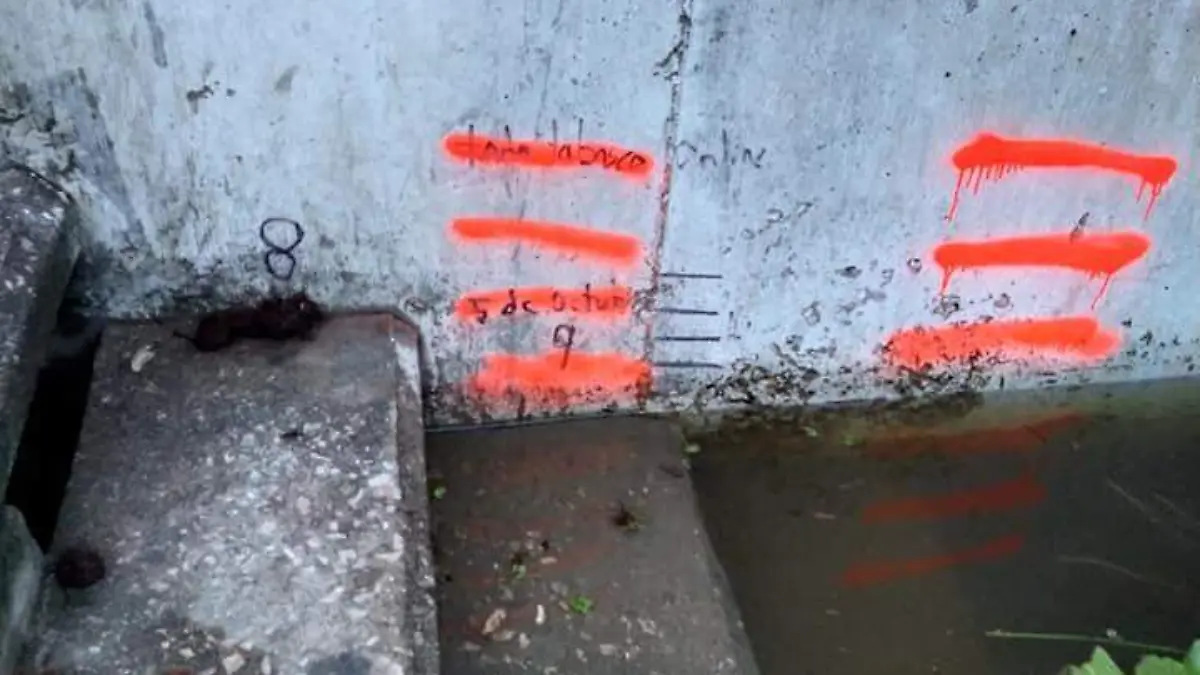 Image 2020-10-08 at 8.11.46 AM