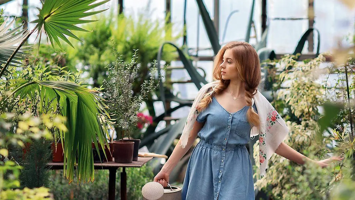 Cuidado de plantas