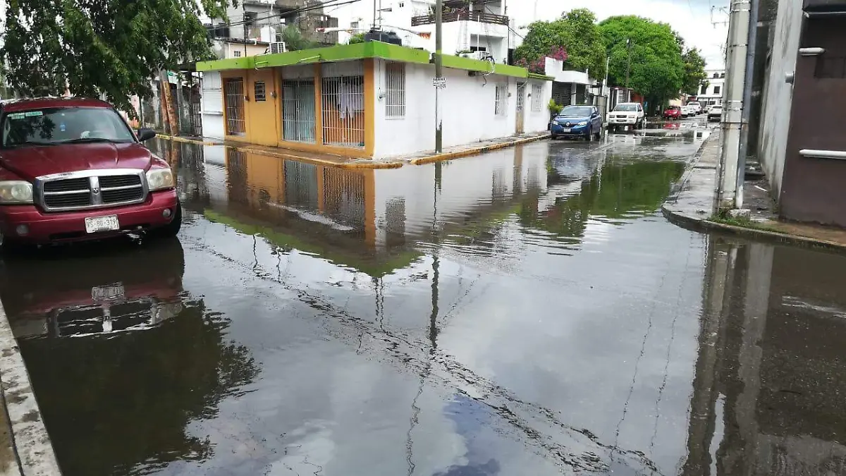 COLONIA MIGUEL HIDALGO EN EL AGUA-CARLOS PEREZ