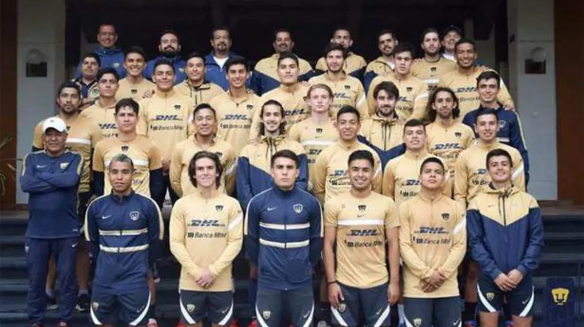 pumas