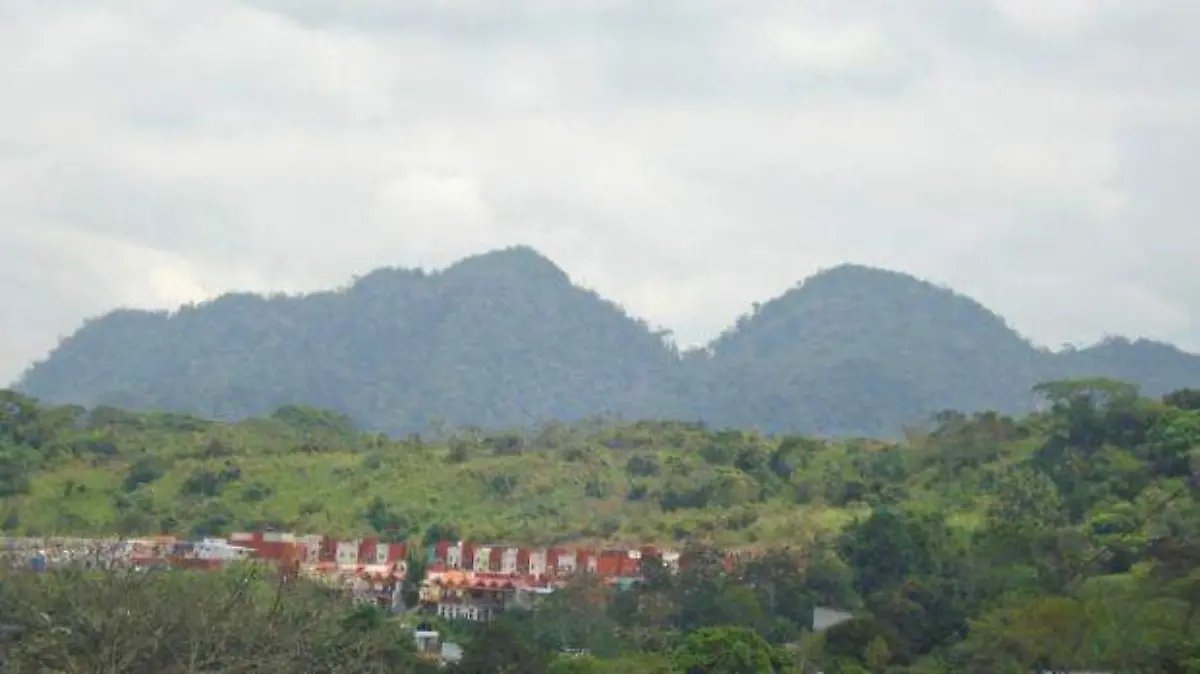 e0571f58-074a-4171-914b-62c4a7b35d8b