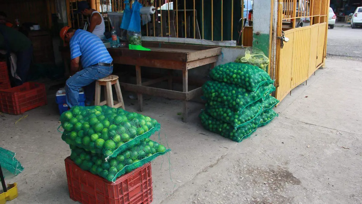 Bulto de limón rebasa los 60 pesos en Tabasco